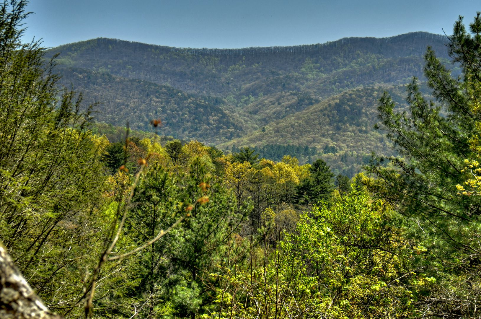 Mountain View Retreat | North Georgia Cabin Rentals