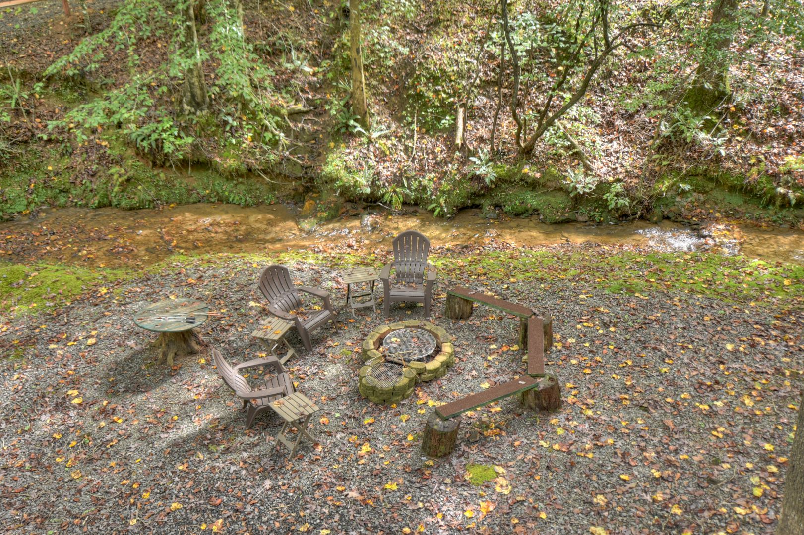 Fern Gully Cabin Rental