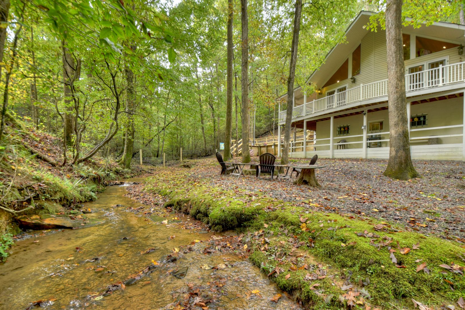 Fern Gully | North Georgia Cabin Rentals