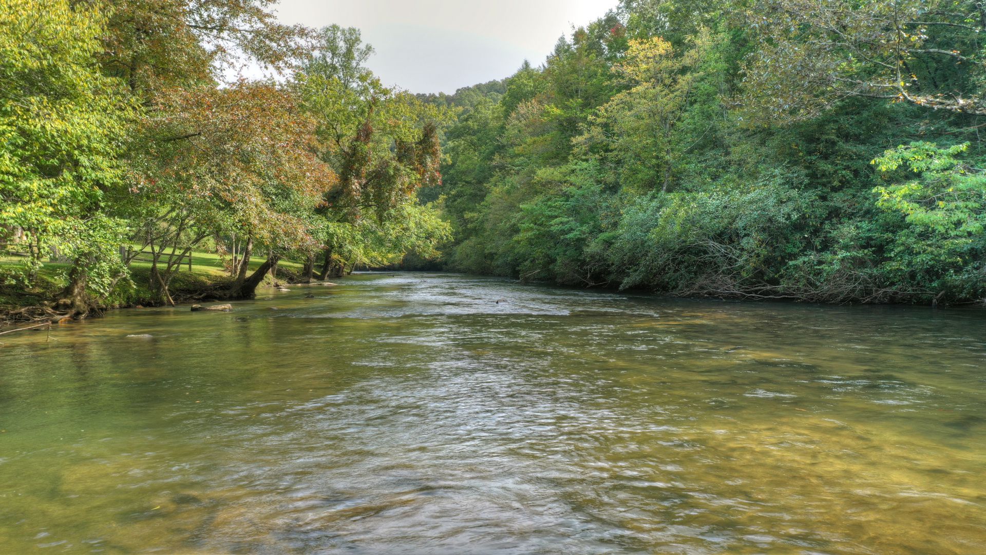 A Calming Creek | North Georgia Cabin Rentals