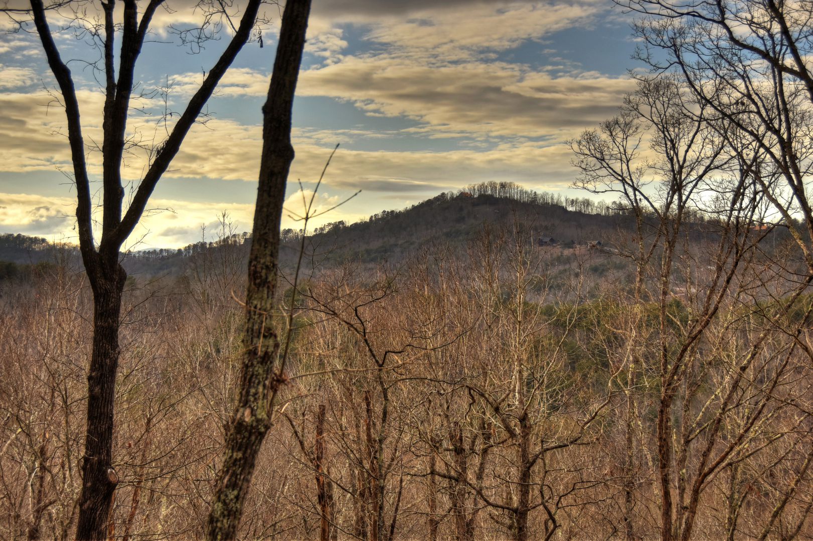 Luxury Cabin Rentals In Blue Ridge North Georgia