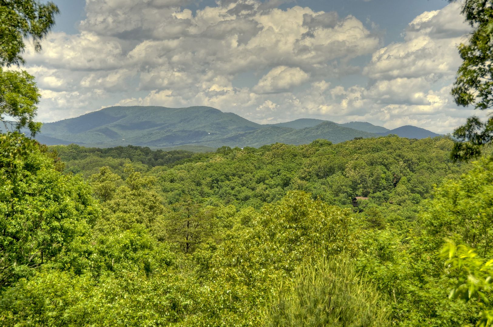 Bear Ridge Hideaway Cabin Rental