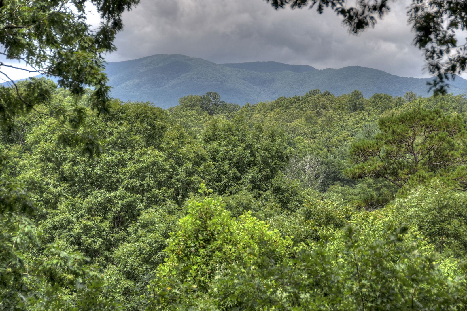 Crooked Creek Cabin Rental