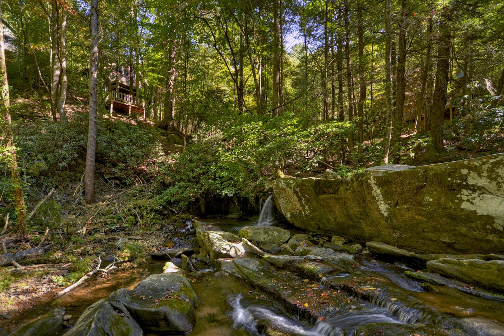 Thunder Falls Cabin Rental