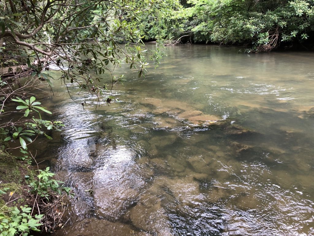 Chimney Path on Fightingtown Creek Rental Cabin