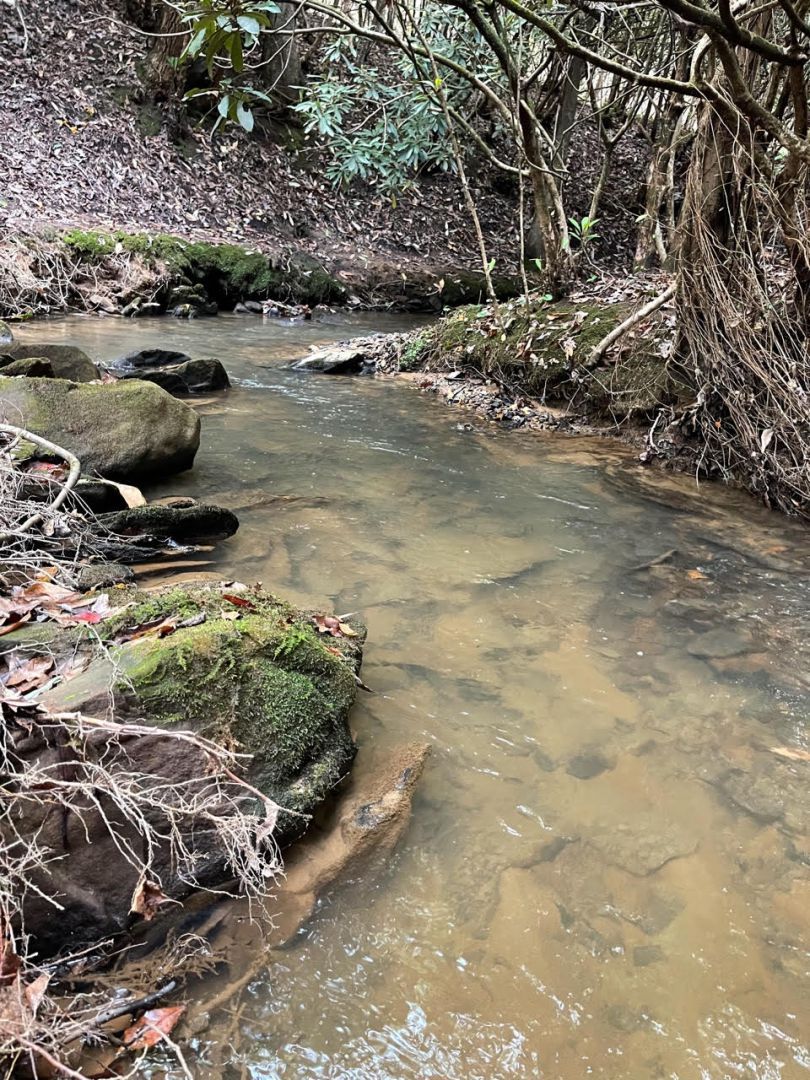 Hidden Creek Cabin Rental